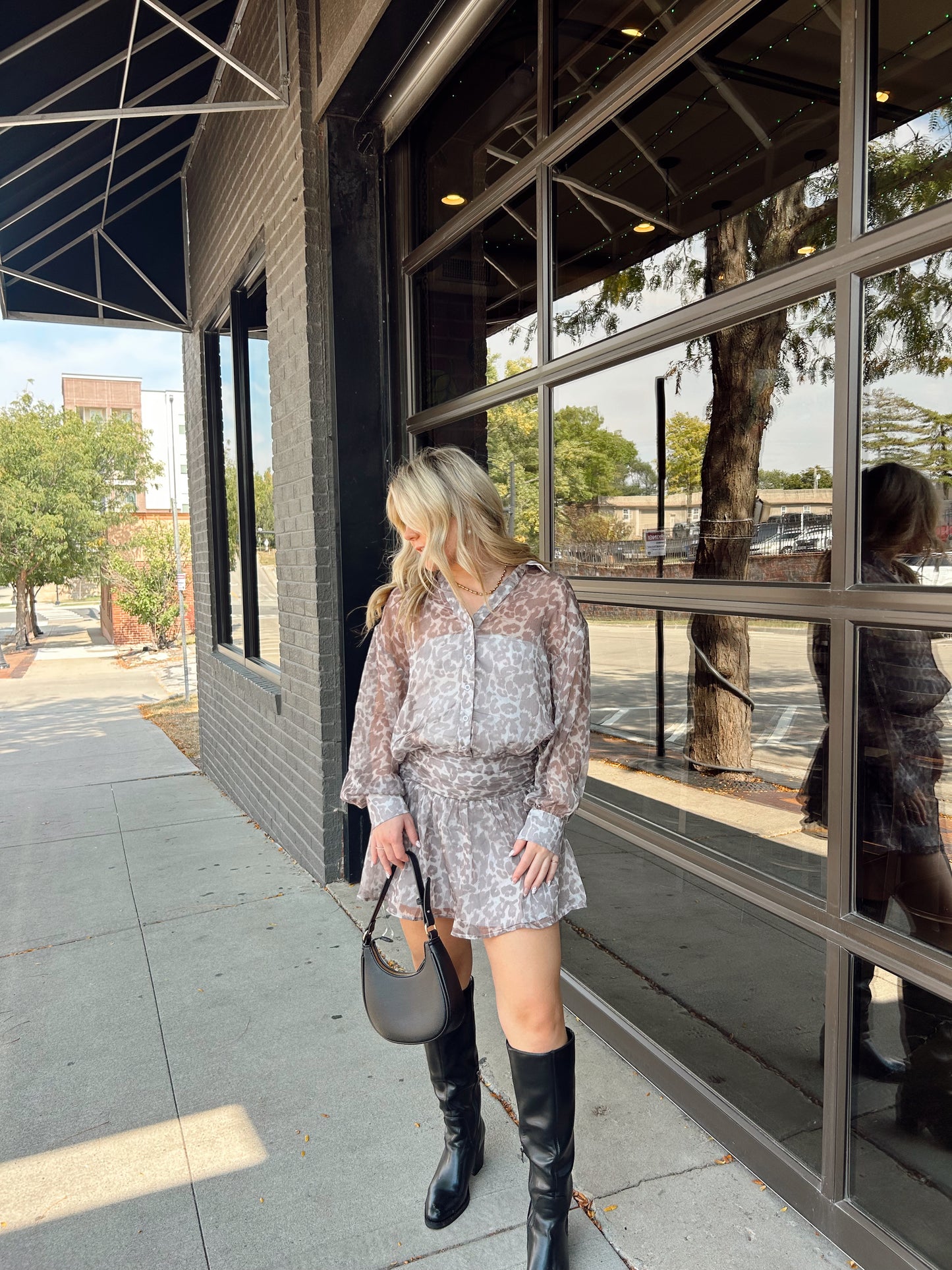 Sheer Leopard Dress